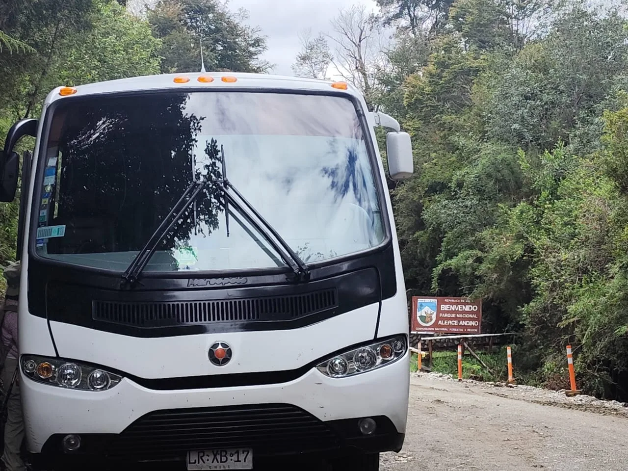 Minibús en el parque